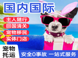 珠海莲洲航空快运国际宠物托运 【国